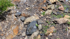 Anthracite
