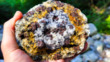 Monzogranodiorite à grenats