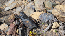 Anthracite