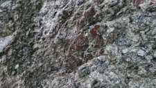 Ophicalcites