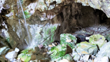 Atacamites
