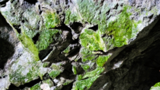 Atacamites