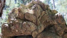 Laves en coussins (pillow-lavas)