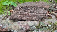 Gneiss