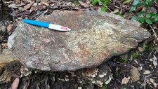 Gneiss