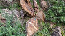 Gneiss