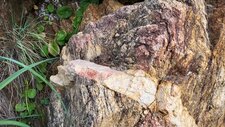 Gneiss