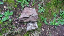 Gneiss