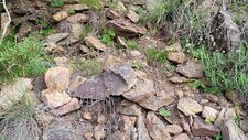 Gneiss