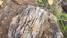 Gneiss