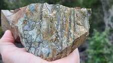 Gneiss