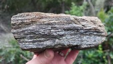 Gneiss