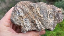 Gneiss