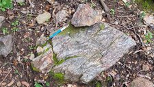 Gneiss