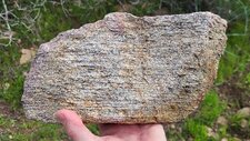 Gneiss