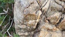 Gneiss