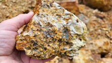 Leucomonzogranite à Molybdénites