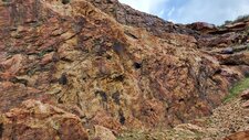 Leucomonzogranite à Molybdénites
