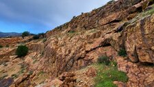 Leucomonzogranite à Molybdénites
