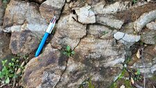 Gneiss Anatectique