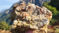 Gneiss Anatectique