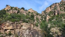 Gneiss Anatectique