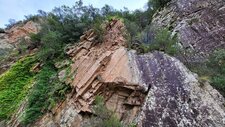Gneiss Anatectique