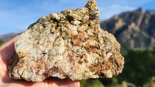 Gneiss Anatectique