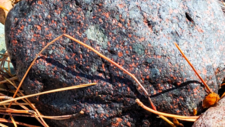 Rhyolites Ignimbritiques