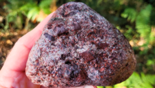 Rhyolites Ignimbritiques