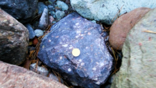 Rhyolites Ignimbritiques
