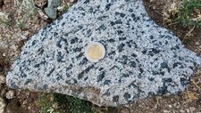 Granodiorite à Amphiboles
