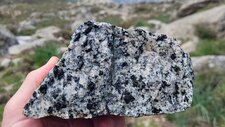 Granodiorite à Amphiboles