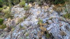 Gabbro Diorite