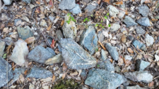 Gabbro Diorite