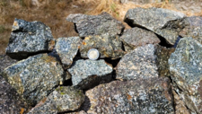 Gabbro Diorite