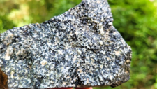 Gabbro Diorite