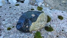 Xénolithe de Basalte sur Granodiorite