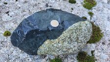 Xénolithe de Basalte sur Granodiorite