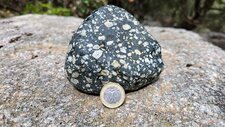 Gabbro Porphyrique