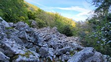 Corse - Carcheto - Métabasaltes et Métagabbros