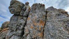Monzonites & Monzogranites à Feldspaths Potassiques