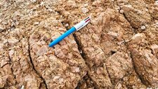 Monzonites & Monzogranites à Feldspaths Potassiques