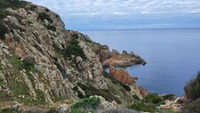 Monzonites & Monzogranites à Feldspaths Potassiques