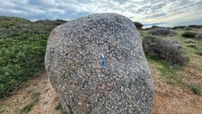 Monzonites & Monzogranites à Feldspaths Potassiques