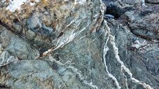 Serpentinites