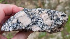 Monzogranodiorites à petits cristaux de feldspath
