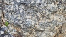 Monzogranodiorites à petits cristaux de feldspath