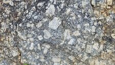 Monzogranodiorites à petits cristaux de feldspath
