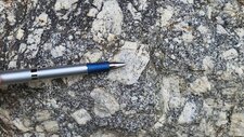 Monzogranodiorites à petits cristaux de feldspath